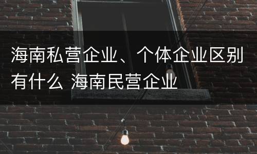 海南私营企业、个体企业区别有什么 海南民营企业