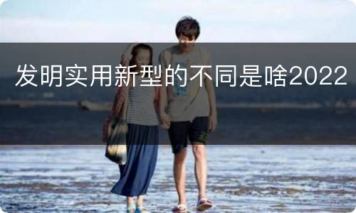 发明实用新型的不同是啥2022