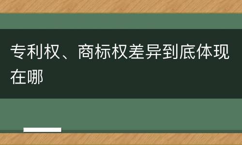 专利权、商标权差异到底体现在哪