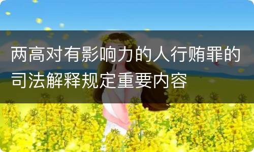 两高对有影响力的人行贿罪的司法解释规定重要内容