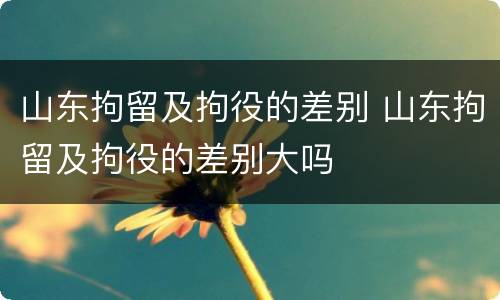 山东拘留及拘役的差别 山东拘留及拘役的差别大吗