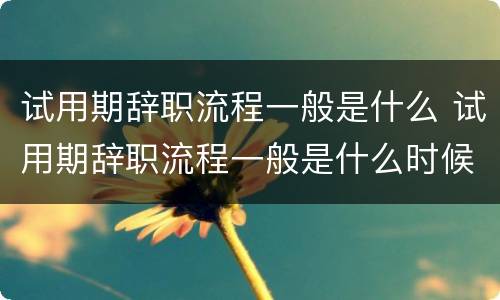 试用期辞职流程一般是什么 试用期辞职流程一般是什么时候
