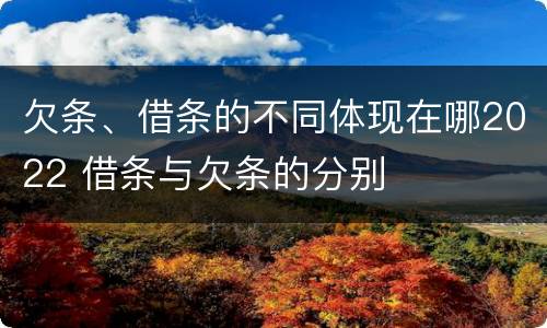 欠条、借条的不同体现在哪2022 借条与欠条的分别