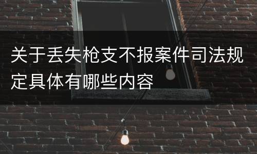 关于丢失枪支不报案件司法规定具体有哪些内容