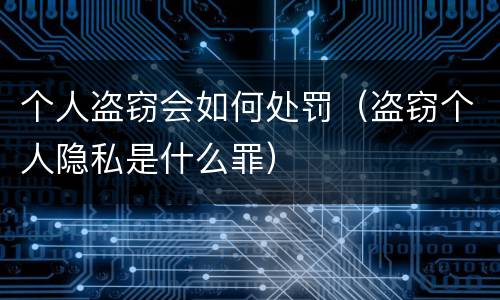 个人盗窃会如何处罚（盗窃个人隐私是什么罪）