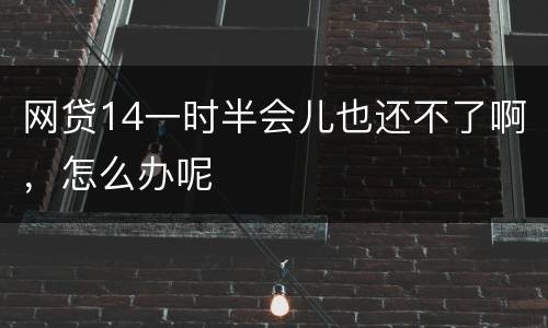 网贷14一时半会儿也还不了啊，怎么办呢
