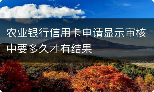 农业银行信用卡申请显示审核中要多久才有结果