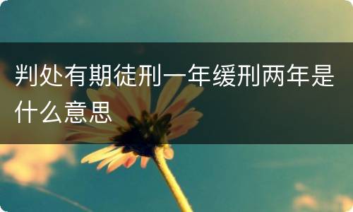 判处有期徒刑一年缓刑两年是什么意思