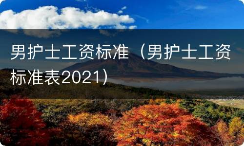 男护士工资标准（男护士工资标准表2021）