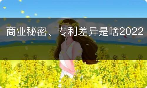 商业秘密、专利差异是啥2022