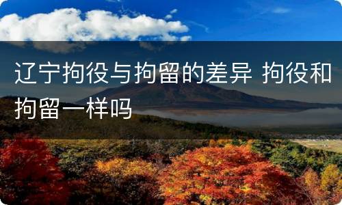 辽宁拘役与拘留的差异 拘役和拘留一样吗