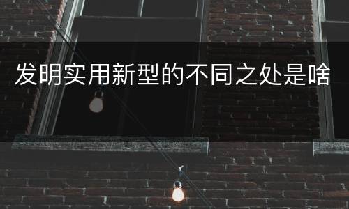 发明实用新型的不同之处是啥