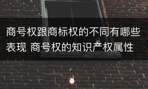商号权跟商标权的不同有哪些表现 商号权的知识产权属性