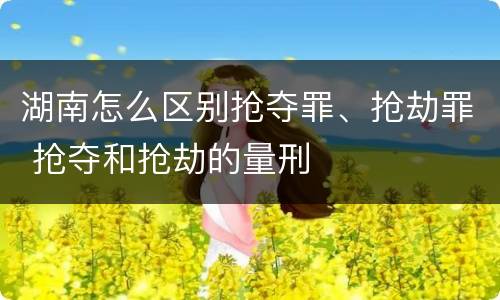 湖南怎么区别抢夺罪、抢劫罪 抢夺和抢劫的量刑