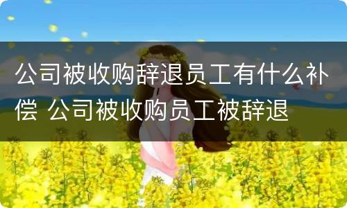 公司被收购辞退员工有什么补偿 公司被收购员工被辞退