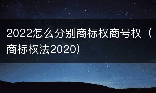 2022怎么分别商标权商号权（商标权法2020）