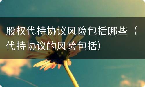 股权代持协议风险包括哪些（代持协议的风险包括）
