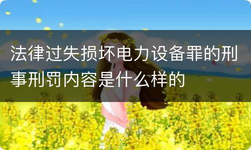 法律过失损坏电力设备罪的刑事刑罚内容是什么样的