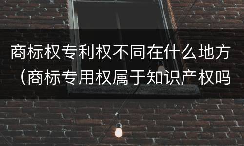 商标权专利权不同在什么地方（商标专用权属于知识产权吗?）
