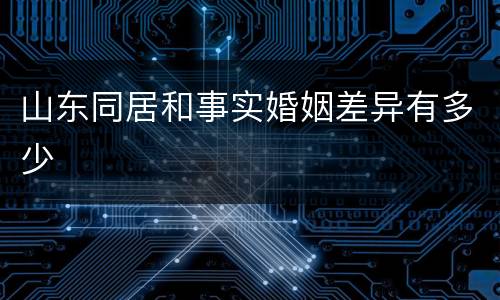 山东同居和事实婚姻差异有多少