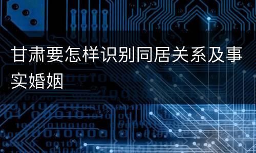 甘肃要怎样识别同居关系及事实婚姻