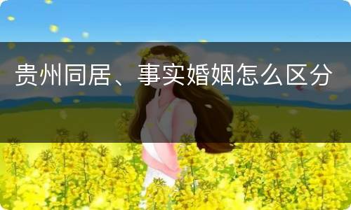 贵州同居、事实婚姻怎么区分