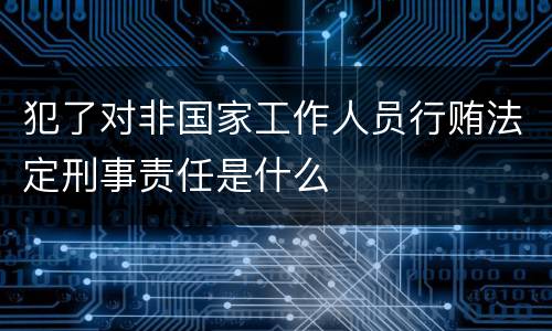 犯了对非国家工作人员行贿法定刑事责任是什么