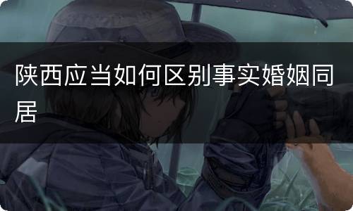 陕西应当如何区别事实婚姻同居