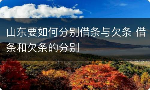 山东要如何分别借条与欠条 借条和欠条的分别