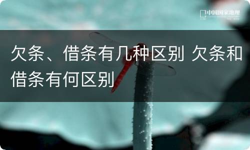 欠条、借条有几种区别 欠条和借条有何区别