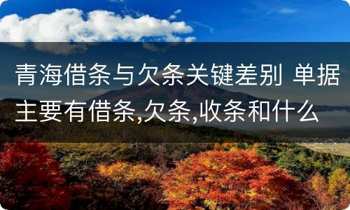 青海借条与欠条关键差别 单据主要有借条,欠条,收条和什么