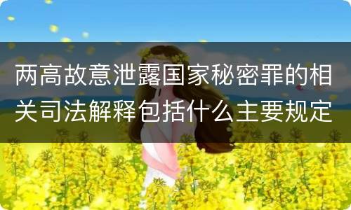 两高故意泄露国家秘密罪的相关司法解释包括什么主要规定
