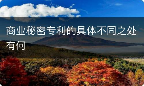 商业秘密专利的具体不同之处有何