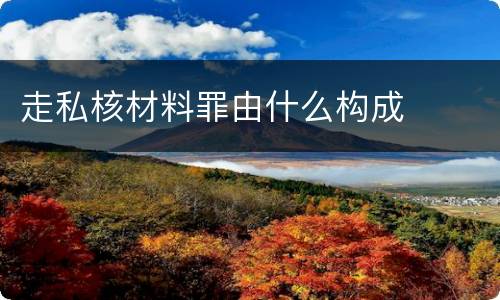 走私核材料罪由什么构成