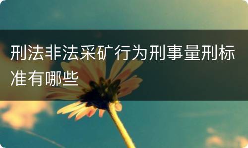 刑法非法采矿行为刑事量刑标准有哪些