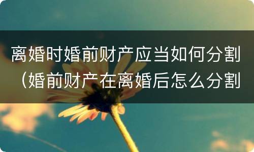 离婚时婚前财产应当如何分割（婚前财产在离婚后怎么分割）
