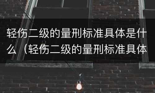 轻伤二级的量刑标准具体是什么（轻伤二级的量刑标准具体是什么意思）