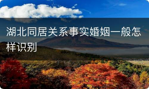 湖北同居关系事实婚姻一般怎样识别