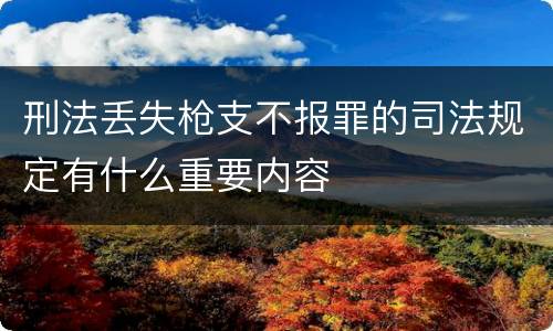 刑法丢失枪支不报罪的司法规定有什么重要内容