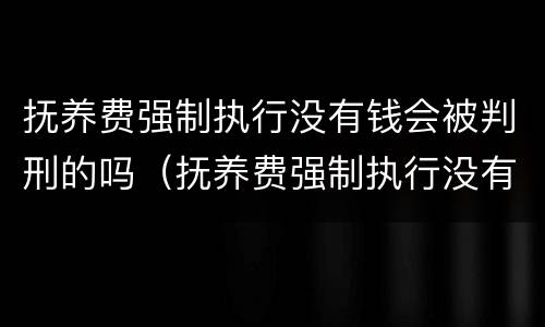 抚养费强制执行没有钱会被判刑的吗（抚养费强制执行没有钱会被判刑的吗怎么办）