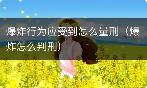爆炸行为应受到怎么量刑（爆炸怎么判刑）