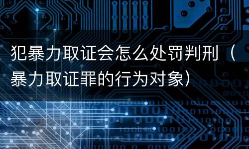 犯暴力取证会怎么处罚判刑（暴力取证罪的行为对象）