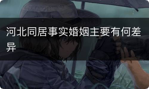 河北同居事实婚姻主要有何差异