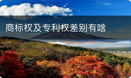商标权及专利权差别有啥