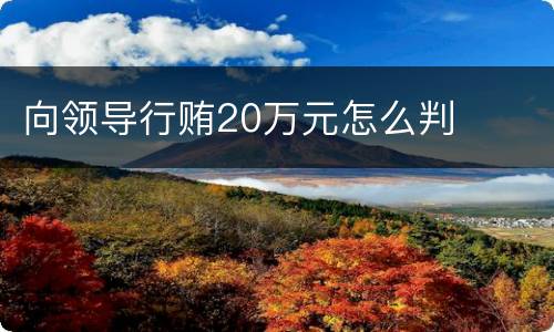 向领导行贿20万元怎么判