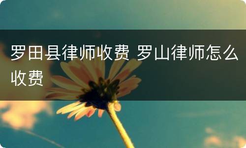 罗田县律师收费 罗山律师怎么收费
