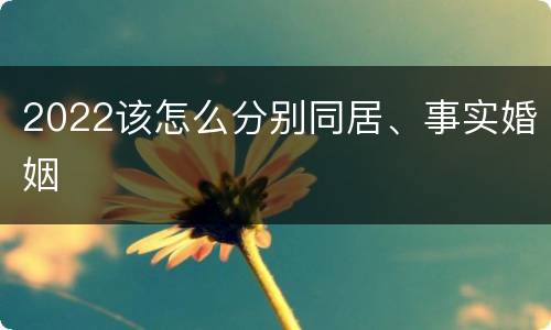 2022该怎么分别同居、事实婚姻