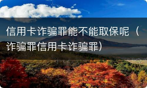 信用卡诈骗罪能不能取保呢（诈骗罪信用卡诈骗罪）