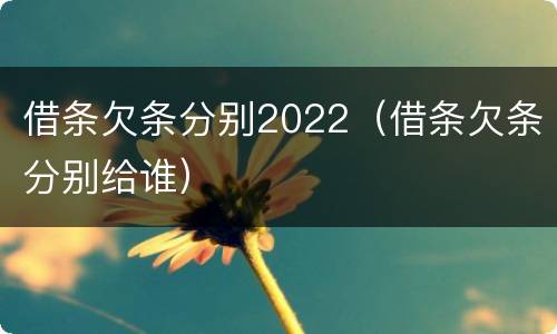 借条欠条分别2022（借条欠条分别给谁）