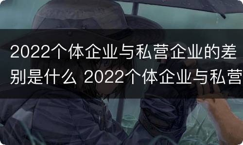 2022个体企业与私营企业的差别是什么 2022个体企业与私营企业的差别是什么呢